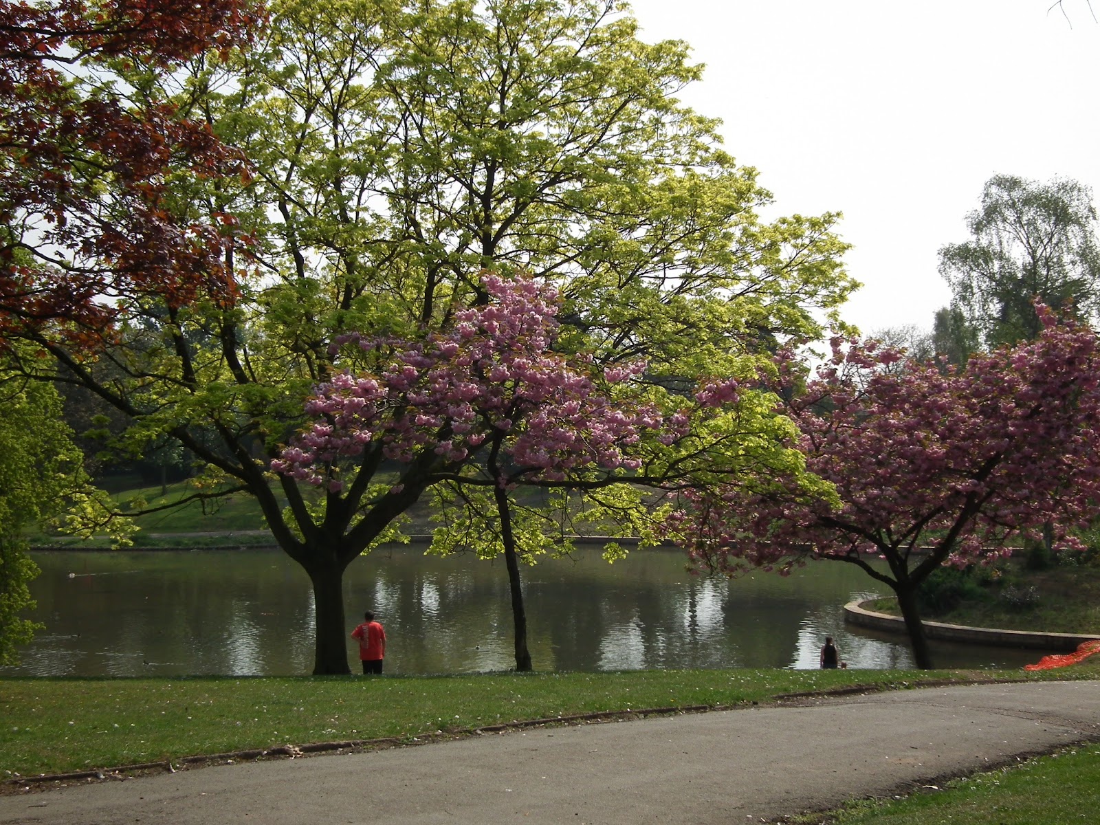 [queenspark 017[4].jpg]